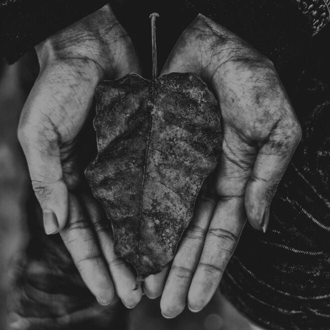 [2 Coríntios 7-9] A Alegria de Dar com Amor