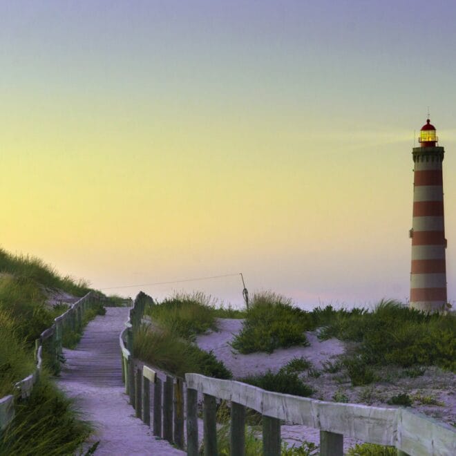 [João 7-10] A Água Viva, A Luz E O Bom Pastor