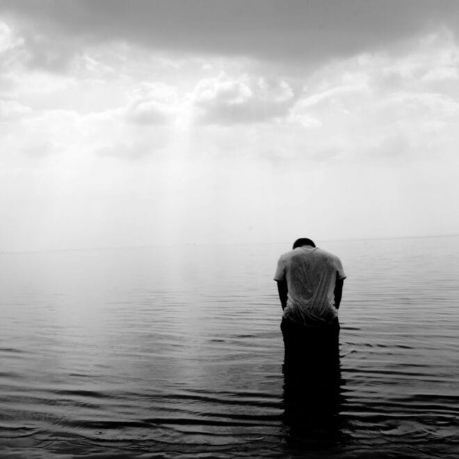 Celebridades e Realeza: Reflexões sobre Vulnerabilidades e Amor