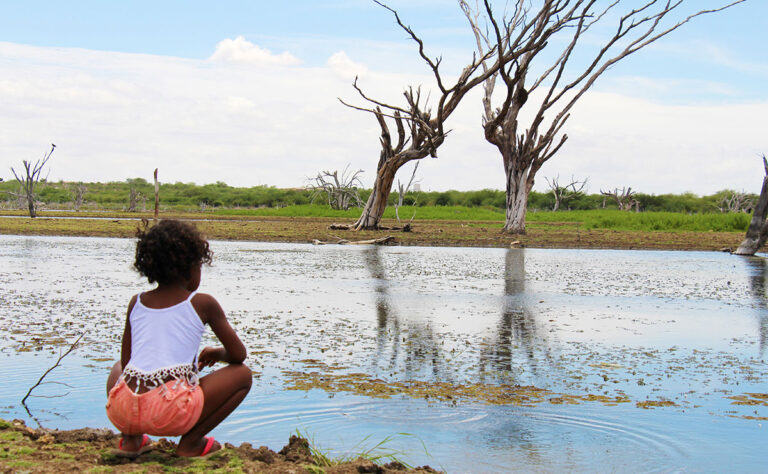Desafios Políticos e Espirituais na América Latina e EUA: Ação Já