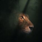 [Provérbios 3:5-6] Confiando Totalmente na Fidelidade de Deus